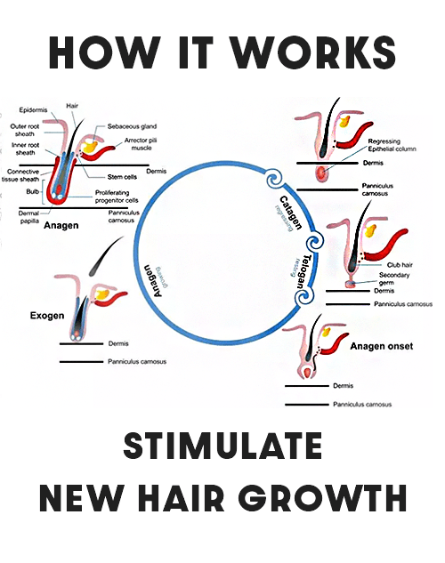 HOW-TO-GROW-NEW-HAIR