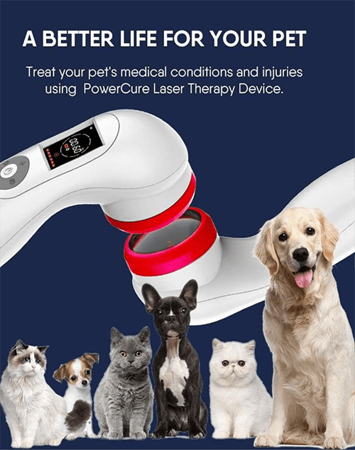 Ptocure Handheld Therapy for Pets - Image