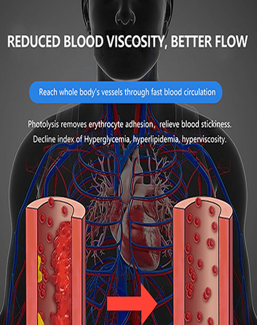 Vascular-Images-Blood-Flow